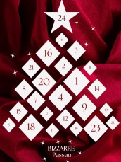 Advent Gewinnspiel Bizzarre